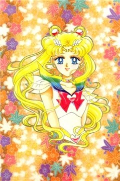 Sailor Moon. Parallel Moon