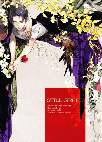 Shingeki no Kyojin dj - Still Green