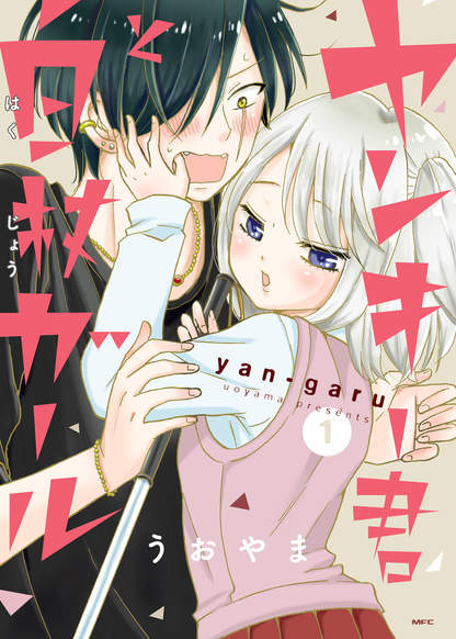 Yankee-kun and the White Cane Girl